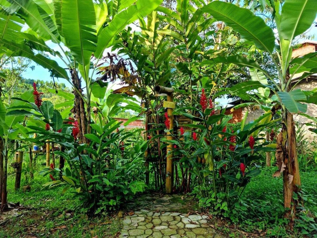 Villa Cambuca Surf Skate Ubatuba Exterior foto